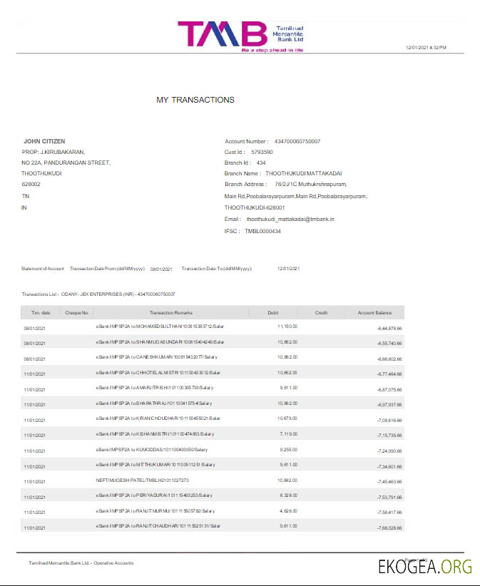 Relevé bancaire Inde TAB Modèle Word et PDF scr